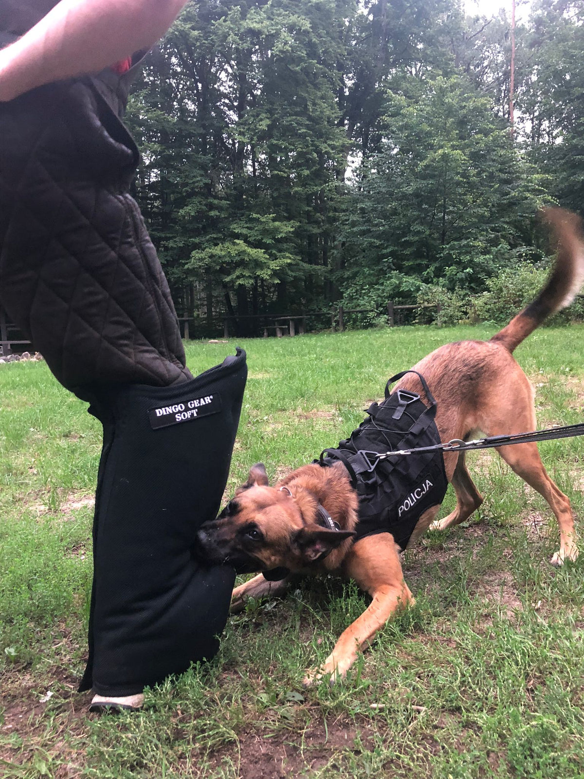 Dingo Gear – manșon lung de picior pentru dresaj din Nylcot, duritate SOFT