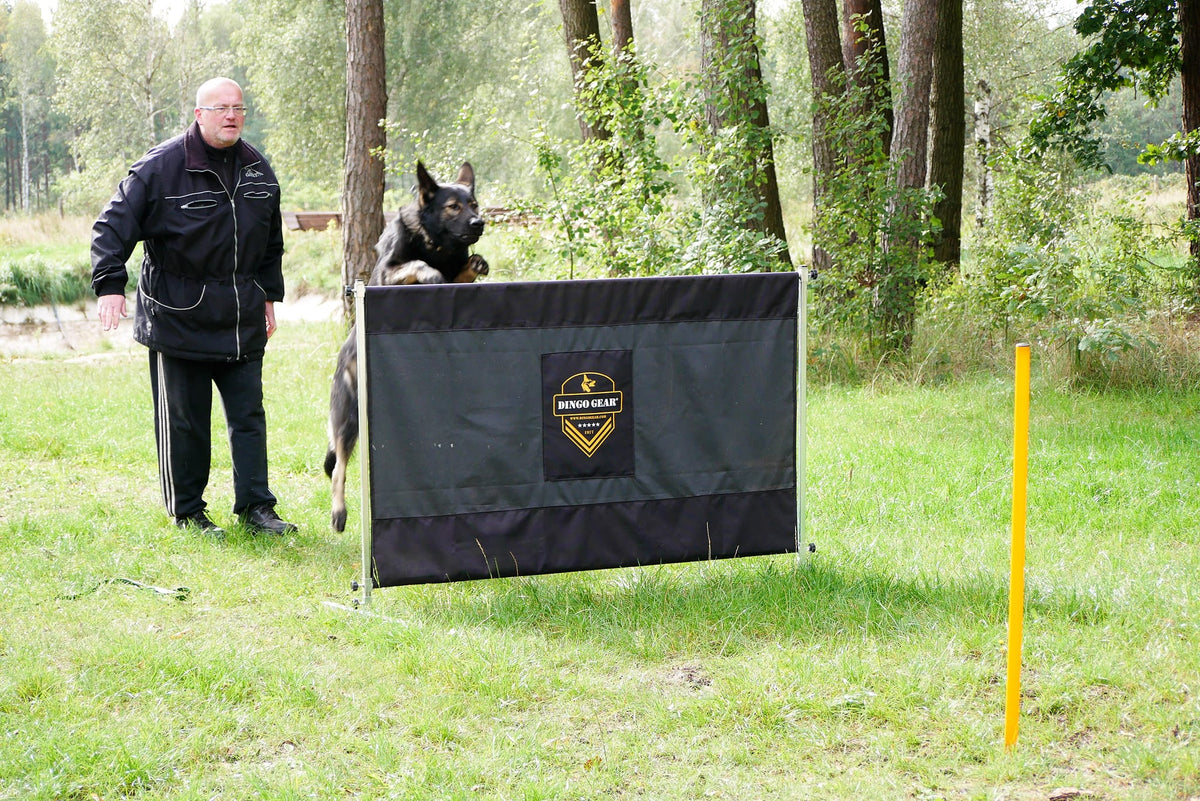 Dingo Gear – obstacol pentru dresaj canin, înălțime 100 cm × lățime 150 cm
