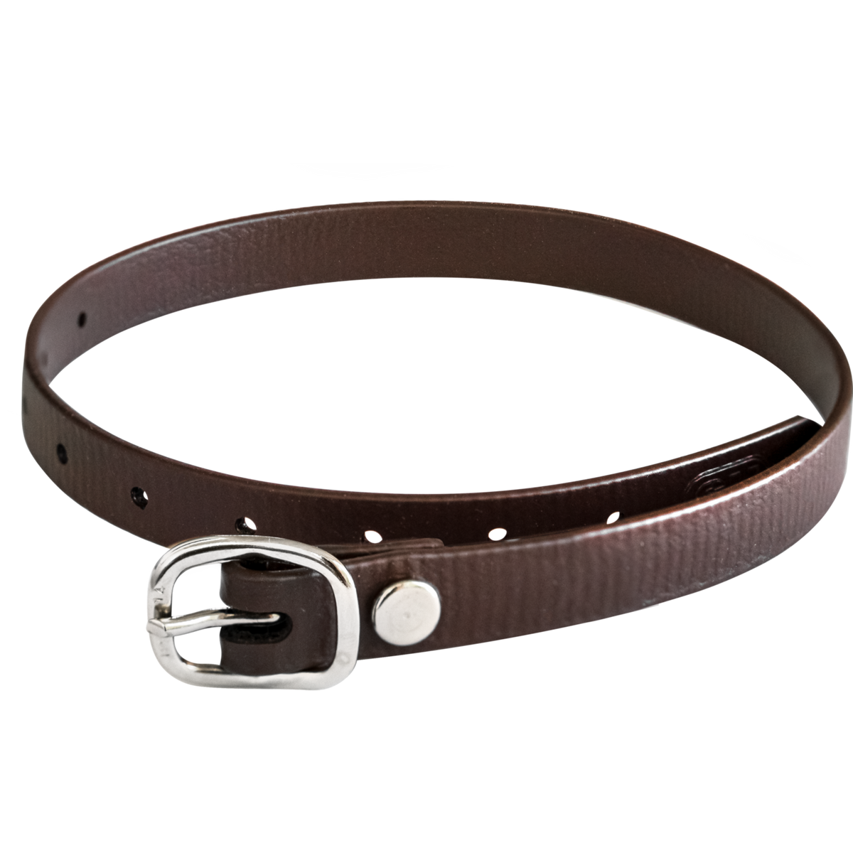 Curele pentru pinteni 45 cm BioThane®, maro