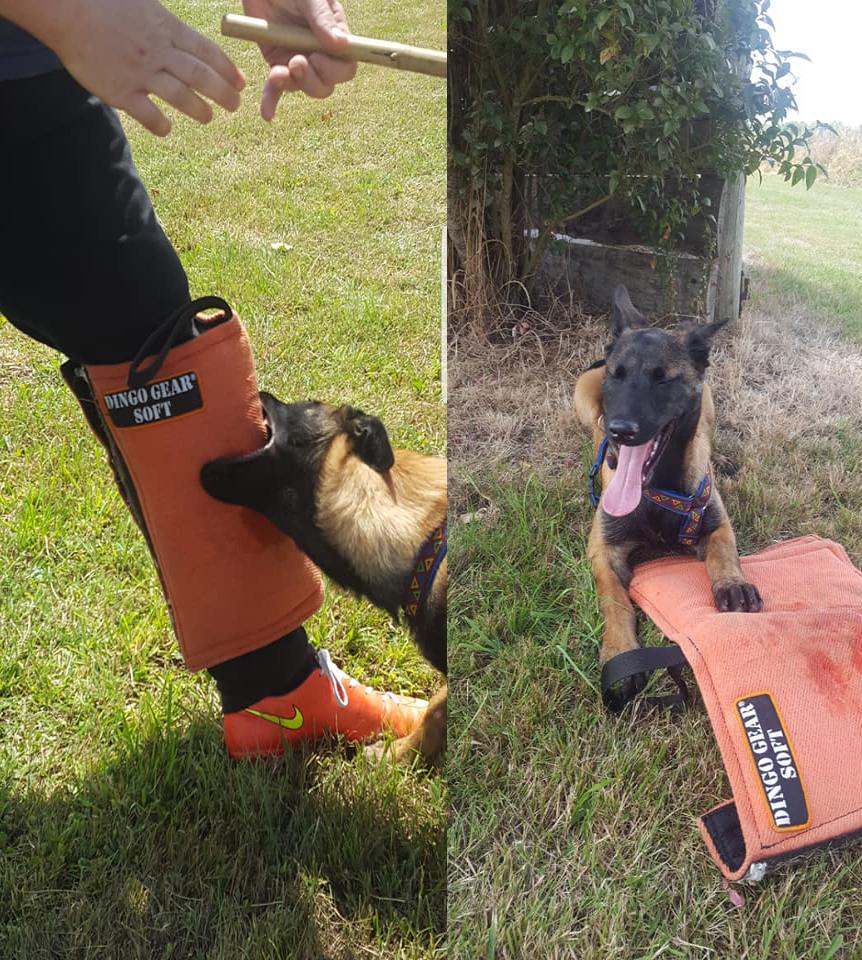 Dingo Gear – Manșon de picior pentru antrenament SOFT – pentru pui și câini tineri