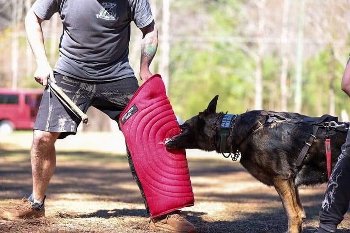 Dingo Gear – manșon lung de picior pentru dresaj din Nylcot, duritate HARD