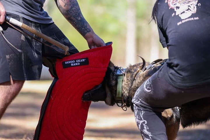 Dingo Gear – manșon lung de picior pentru dresaj din Nylcot, duritate HARD