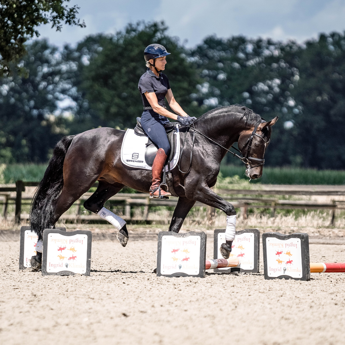 Scări de șa Bow Balance SPRENGER & Ingrid Klimke