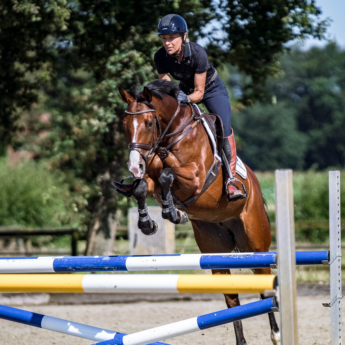 Scări de șa Bow Balance SPRENGER & Ingrid Klimke