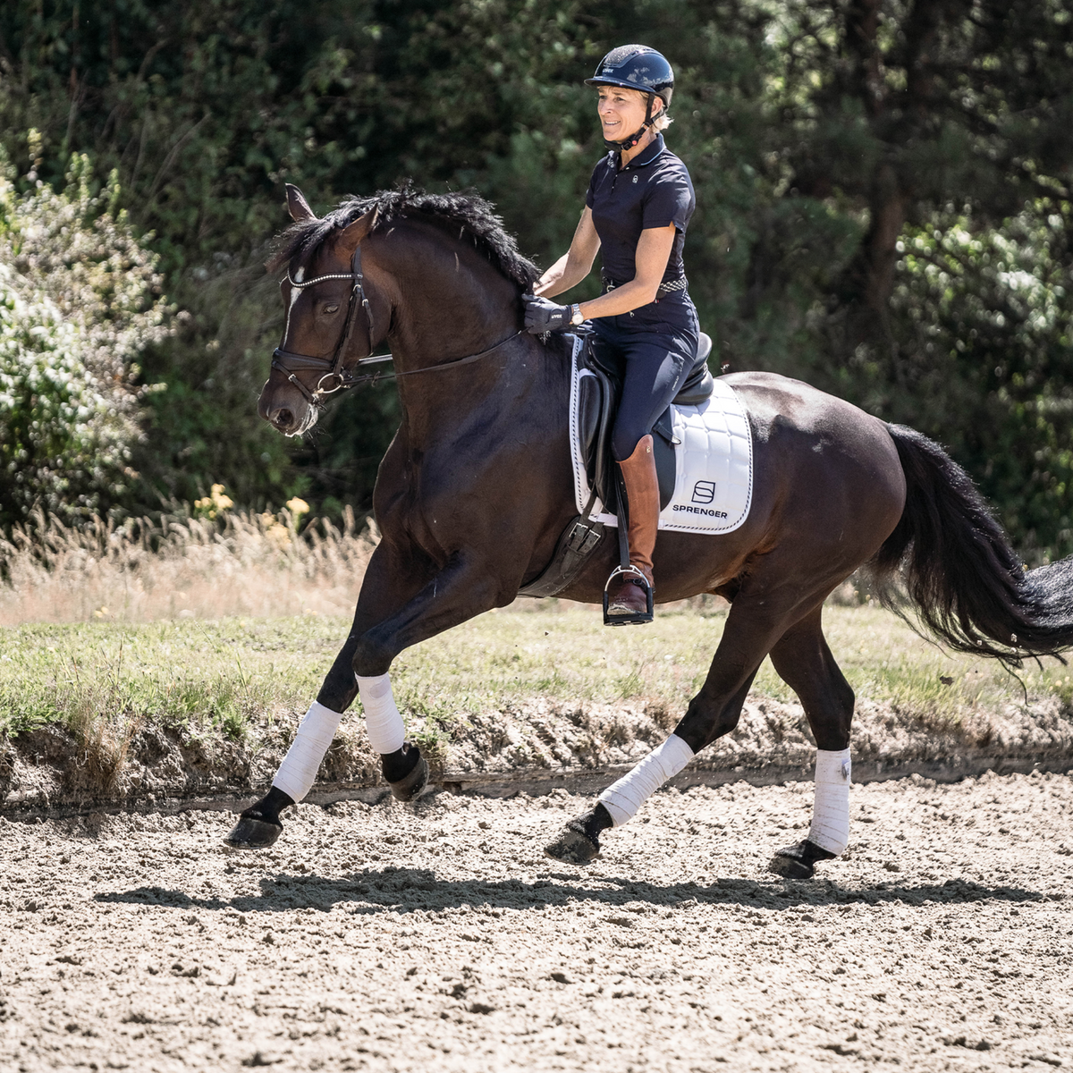 Scări de șa Bow Balance SPRENGER & Ingrid Klimke