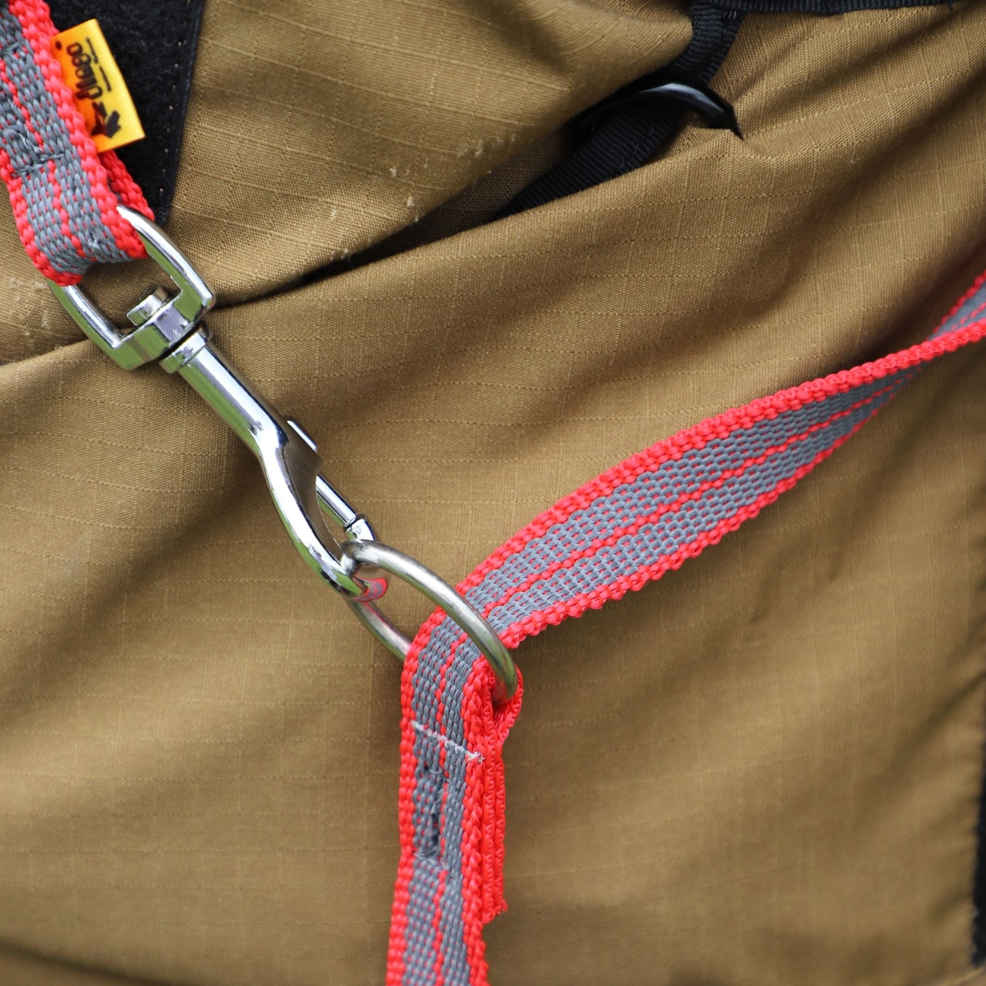 Lesă reglabilă cauciucată