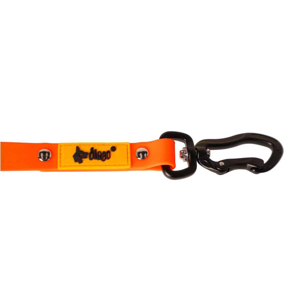 Training leash flex with handle