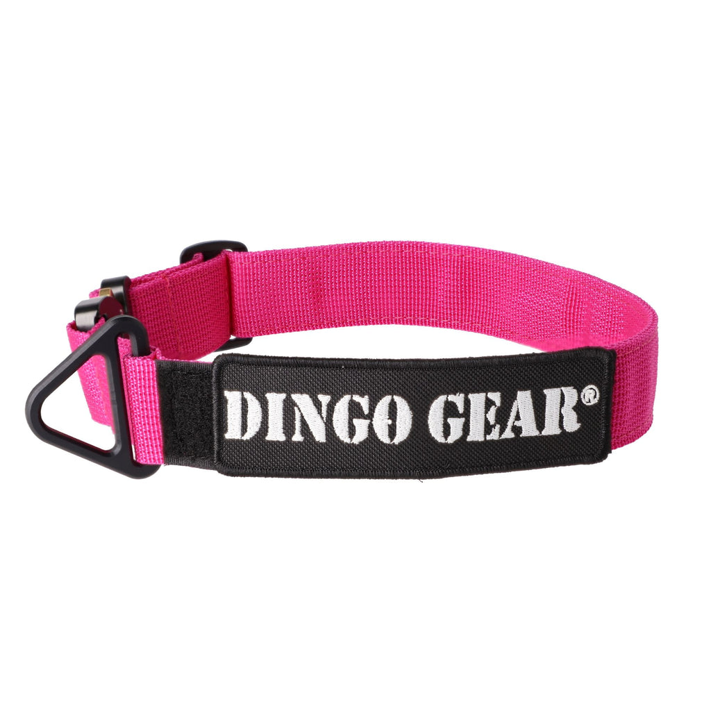 Dingo Gear – Zgardă tactică COBRA – din chingă de polipropilenă, fără mâner