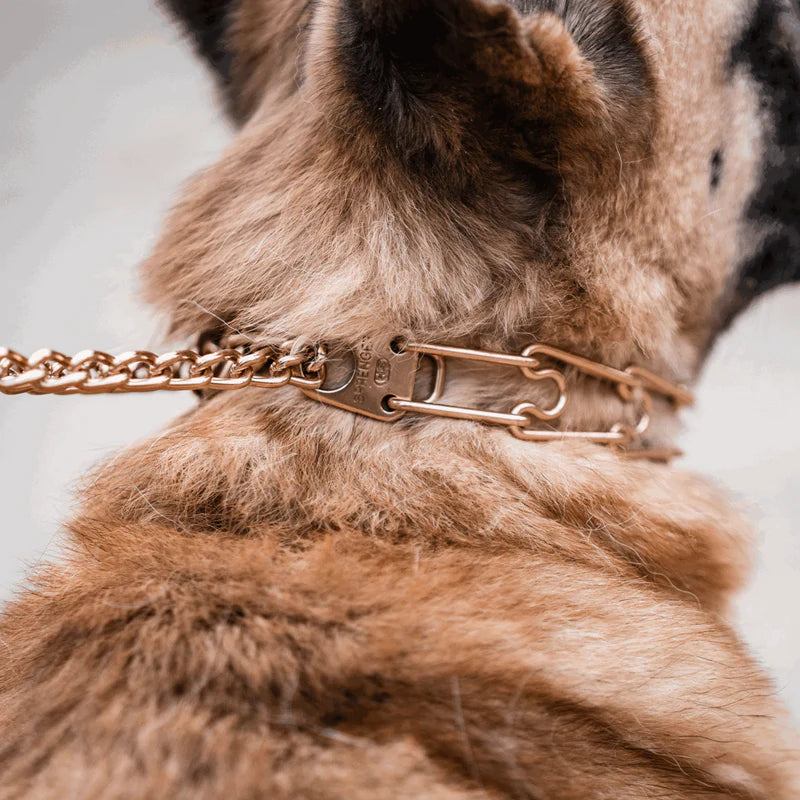 Zgardă de dresaj ULTRA-PLUS, pentru caini, cu plăcuță centrală și lanț de asamblare, din CUROGAN