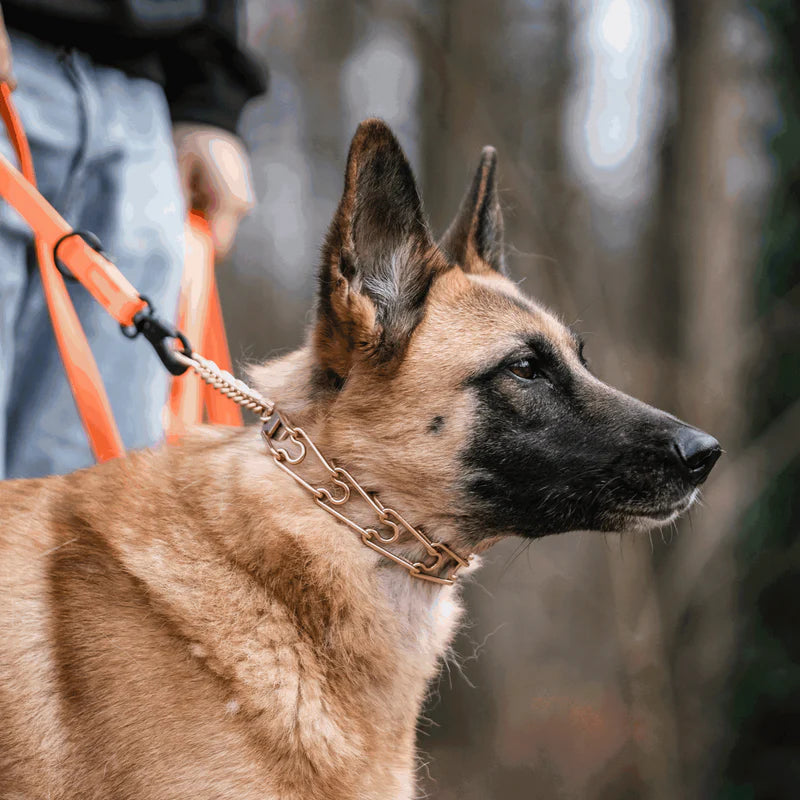 Zgardă de dresaj ULTRA-PLUS, pentru caini, cu plăcuță centrală și lanț de asamblare, din CUROGAN