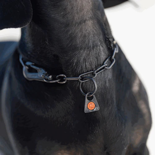 Zgardă de dresaj Sprenger reglabilă cu carabină Sprenger din oțel inoxidabil negru pentru câini, 2,0 mm