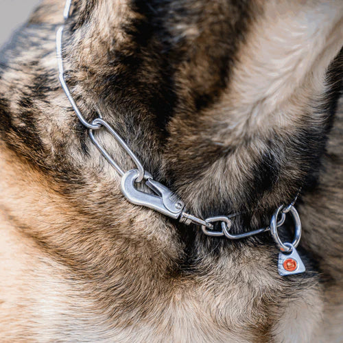 Zgardă cu verigi lungi, reglabilă – cu cârlig SPRENGER – oțel inoxidabil, 3,0 mm