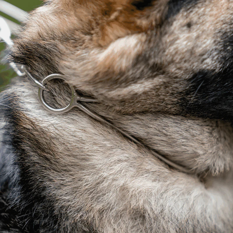 ZGARDĂ SHOW SPRENGER pentru câini – oțel inoxidabil