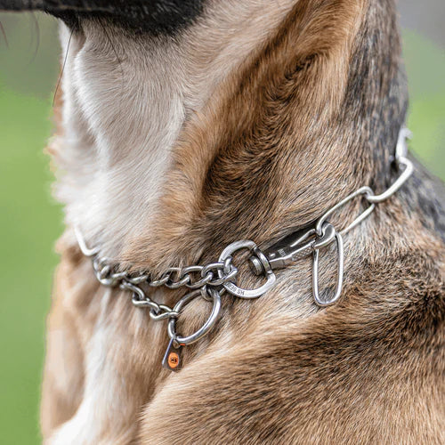 Zgardă de dresaj Sprenger reglabilă cu carabină Sprenger din oțel inoxidabil pentru câini, 3,0 mm