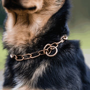 Zgarda Otel CUROGAN – LONGILIN, 4.0 MM (56 cm), pentru Câini Mari și Blană Sensibilă