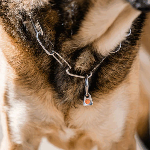 Guler, lanț lung, reglabil – cu cârlig SPRENGER – oțel inoxidabil, 4,0 mm