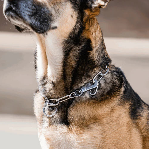 Guler, lanț lung, reglabil – cu cârlig SPRENGER – oțel inoxidabil, 4,0 mm