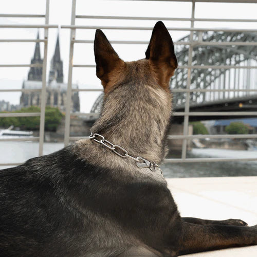 Guler, lanț lung, reglabil – cu cârlig SPRENGER – oțel inoxidabil, 4,0 mm