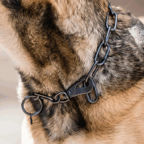 Guler, lanț lung, reglabil – cu cârlig SPRENGER – oțel inoxidabil negru, 4,0 mm