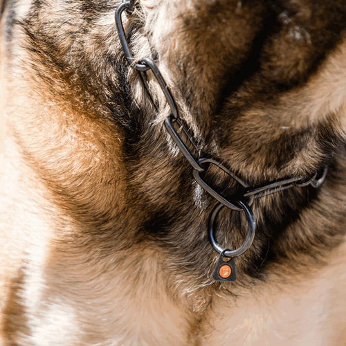 Guler, lanț lung, reglabil – cu cârlig SPRENGER – oțel inoxidabil negru, 4,0 mm