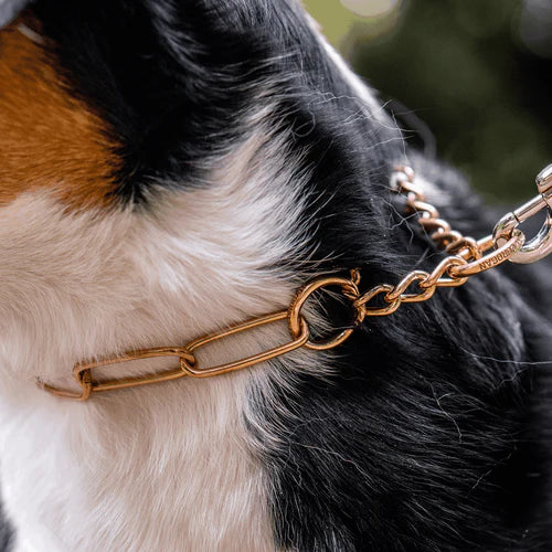 Guler Martingale cu tracțiune limitată – CUROGAN, 4,0 mm
