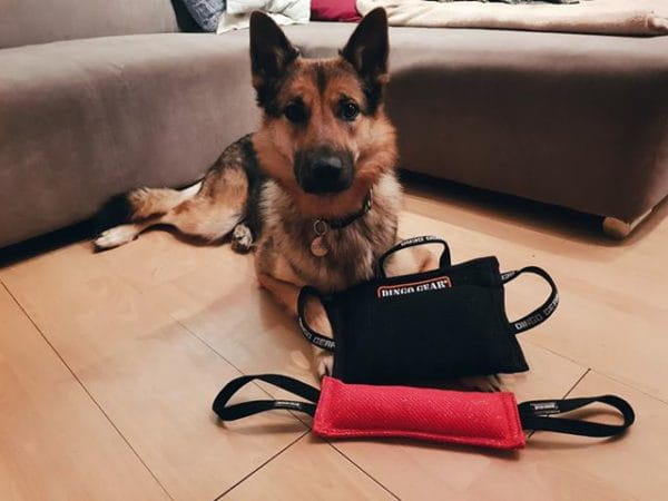 Dingo Gear – pană de mușcătură din Nylcot moale, mărime MEDIUM