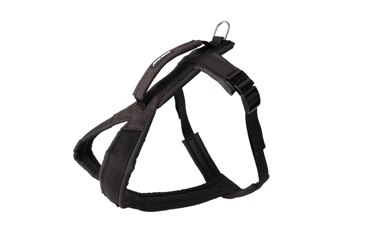 Dingo Gear – Ham universal ultra-ușor pentru câini