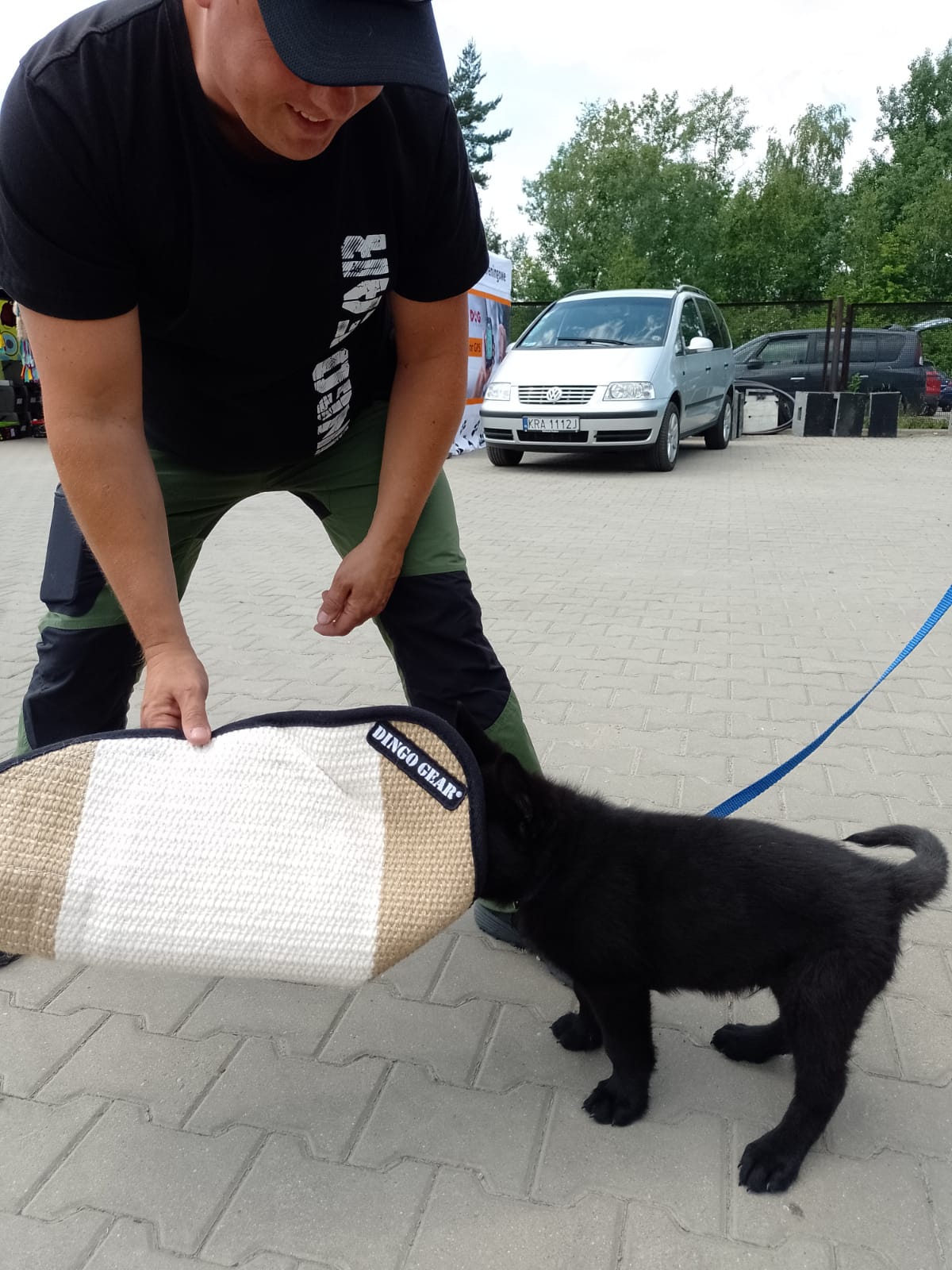 Dingo Gear WOLF – manșon universal ușor de dresaj din iută, MEDIUM