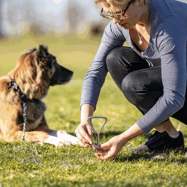 Lanț pentru ham – oțel placat cu nichel, 3,0 mm / 79"