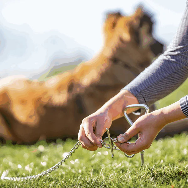 Lanț pentru ham – oțel placat cu nichel, 3,0 mm / 79"