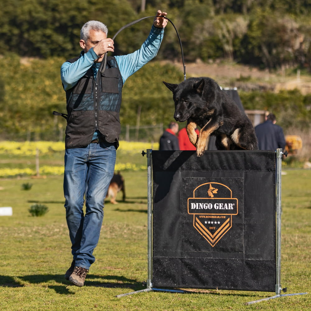 Dingo Gear – obstacol pentru dresaj canin, înălțime 100 cm × lățime 150 cm