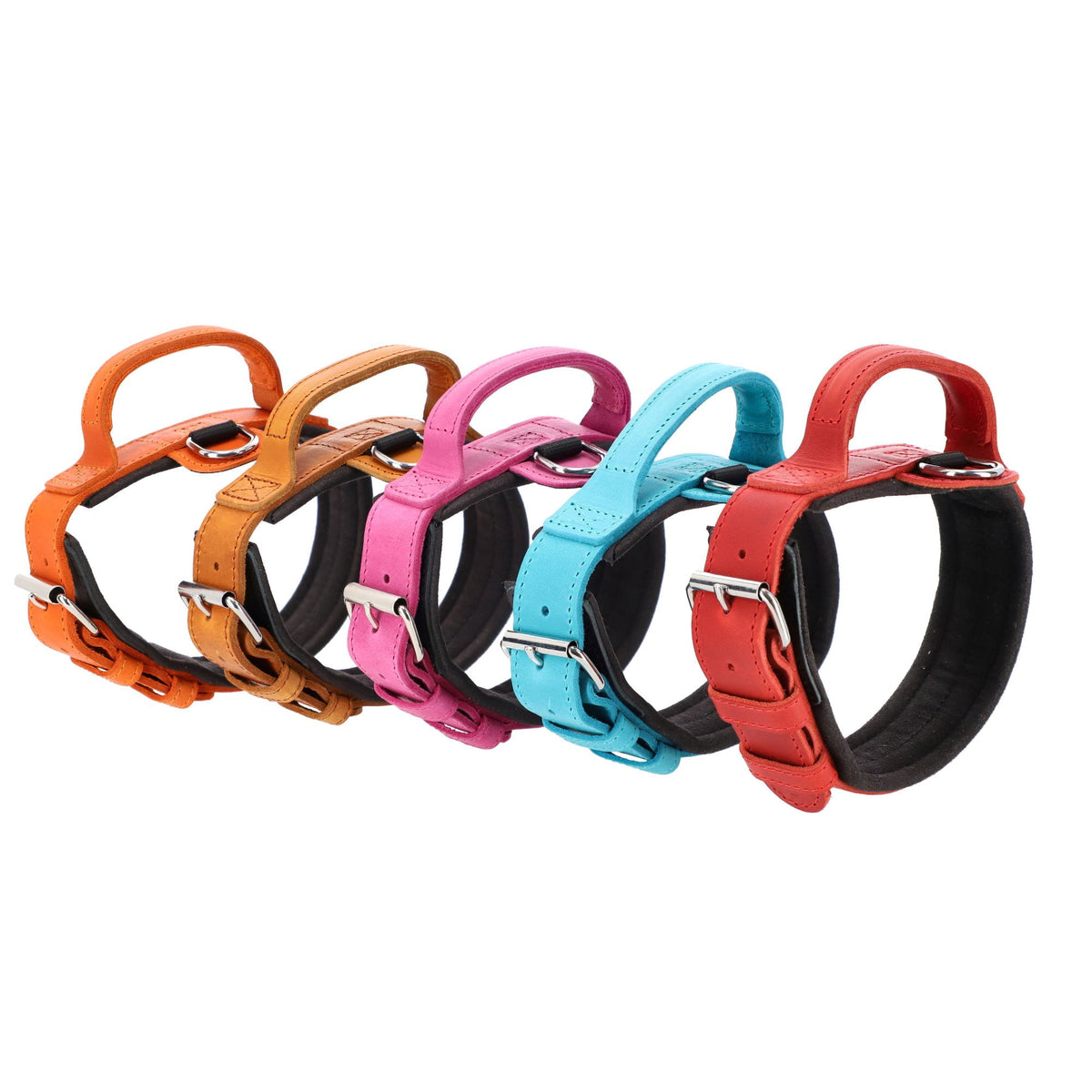 Dingo Gear – Zgardă DRAGO – precizie din piele în slujba dresajului profesional