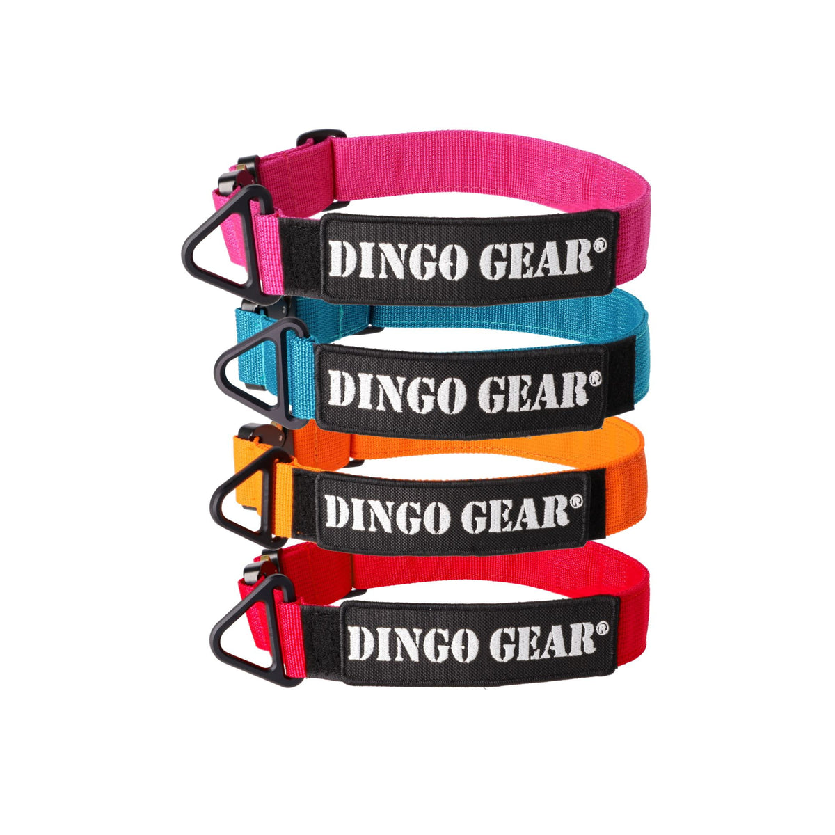 Dingo Gear – Zgardă tactică COBRA – din chingă de polipropilenă, fără mâner