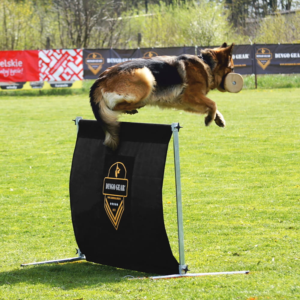 Dingo Gear – obstacol pentru dresaj canin, înălțime 100 cm × lățime 100 cm