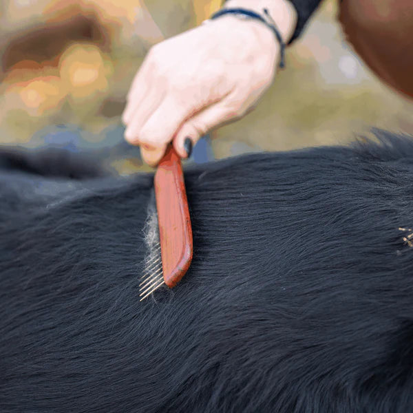 Pieptene pentru câini – dinți metalici de 30 mm