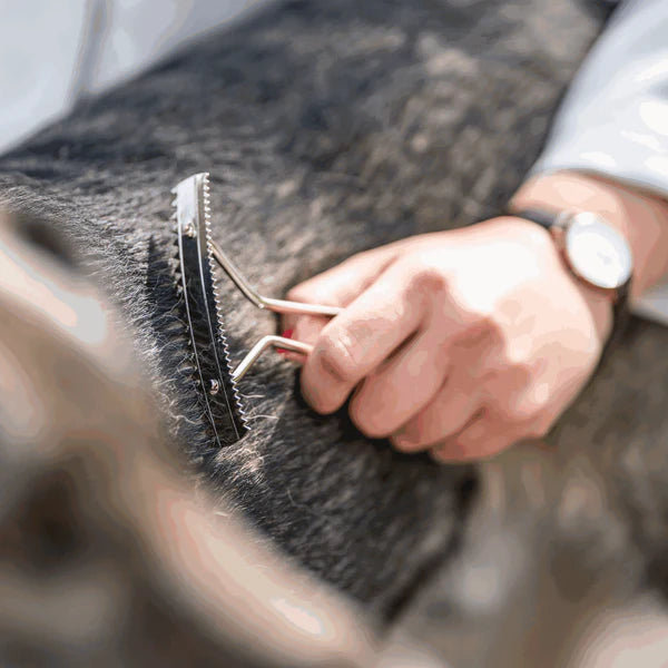 Greblă pentru câini – oțel nichelat