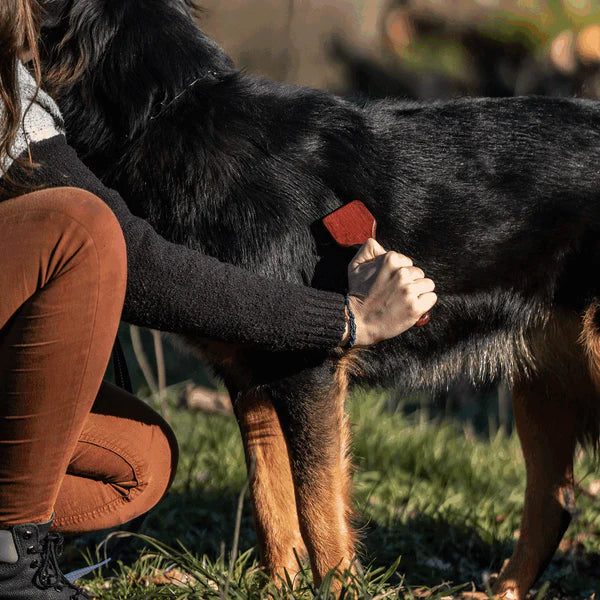 Greblă pentru câini – 2 rânduri, dinți din oțel de 20 mm