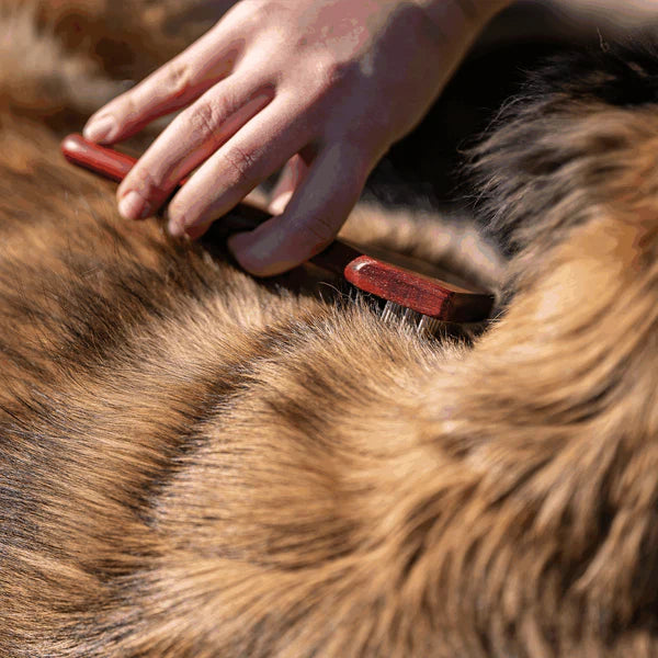 Greblă pentru câini – 3 rânduri, dinți din oțel de 20 mm