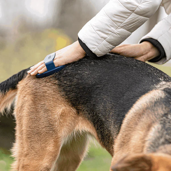 Pieptene curry, oval – cauciuc, albastru, 125 x 80 mm