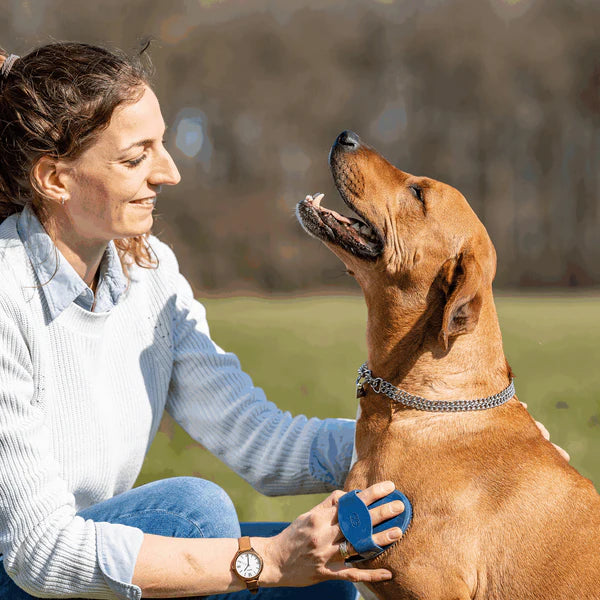 Pieptene curry, oval – cauciuc, albastru, 125 x 80 mm