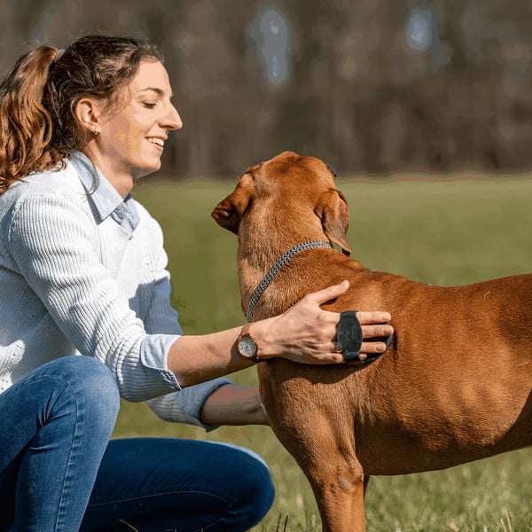 Pieptene curry, oval – cauciuc, negru, 125 x 80 mm