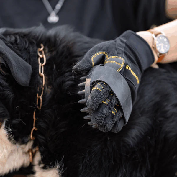 Pieptene curry, oval – cauciuc, negru, 150 x 100 mm