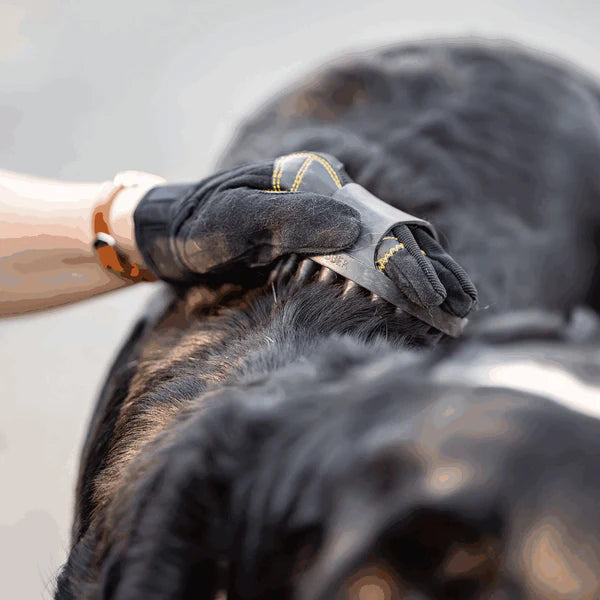 Pieptene curry, oval – cauciuc, negru, 150 x 100 mm