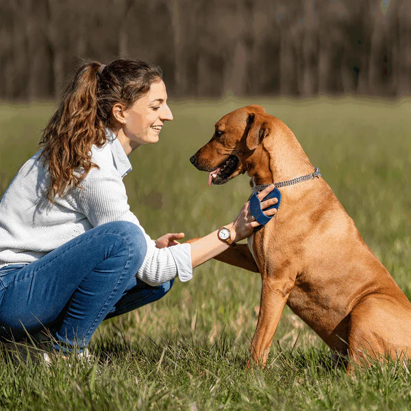 Pieptene curry, oval – cauciuc, albastru, 150 x 100 mm
