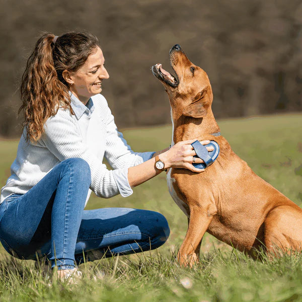 Pieptene curry, oval – cauciuc, albastru, 150 x 100 mm