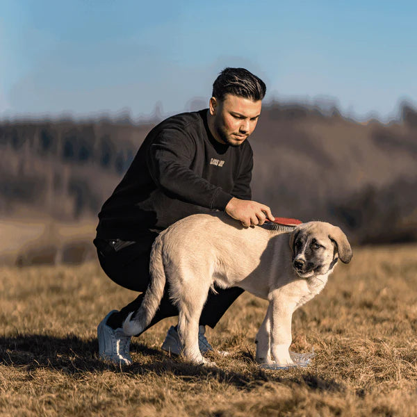 Perie pentru câini, cu peri lungi – fixați prin îndoire, dinți metalici de 27 mm