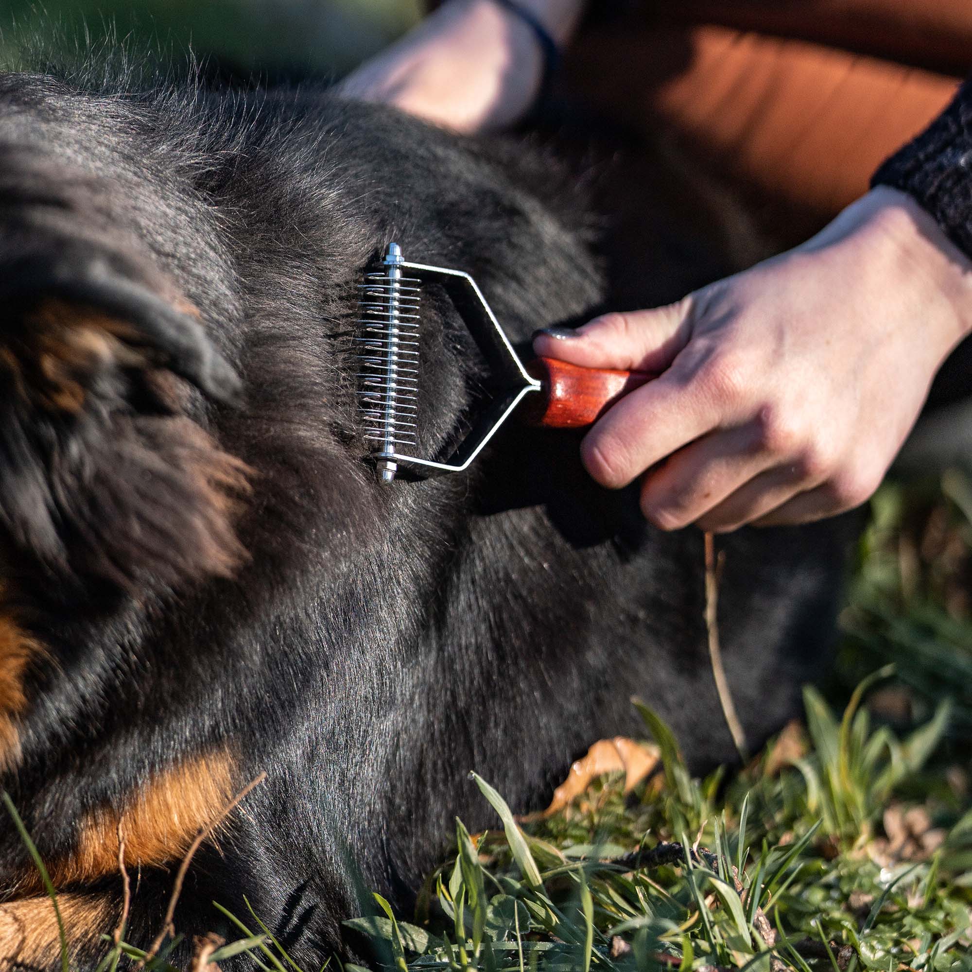 Perie pe 2 fețe – mâner din lemn cu dinți din oțel inoxidabil