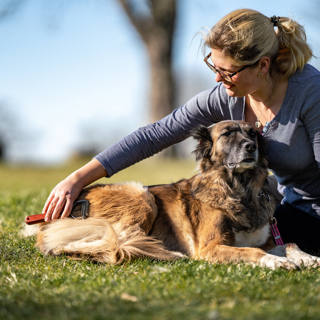 Perie pe 2 fețe – mâner din lemn cu dinți din oțel inoxidabil