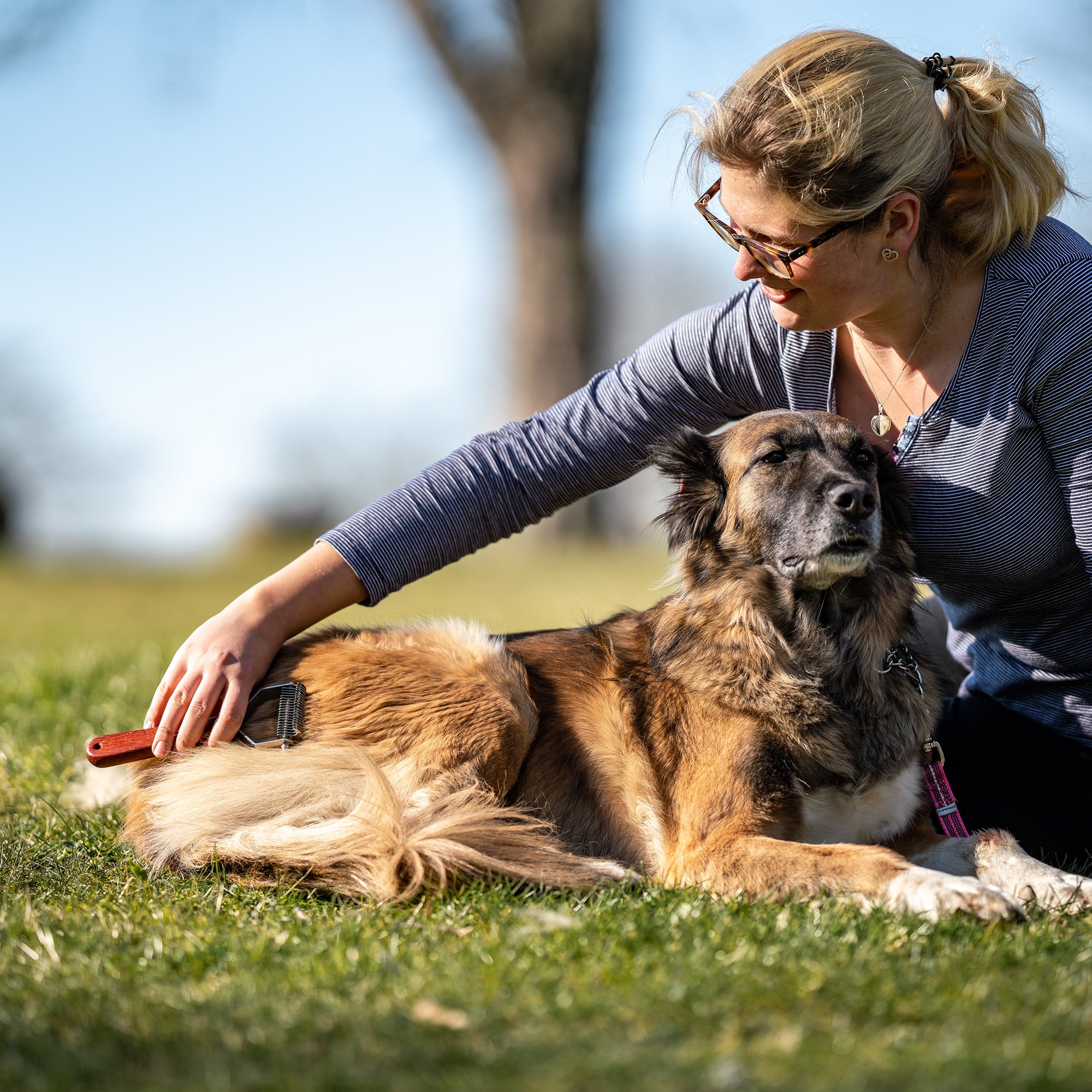 Perie pe 2 fețe – mâner din lemn cu dinți din oțel inoxidabil