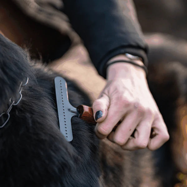 Greblă pentru câini – oțel acoperit, 1 rând